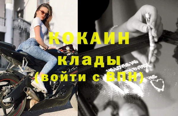 дживик Магас