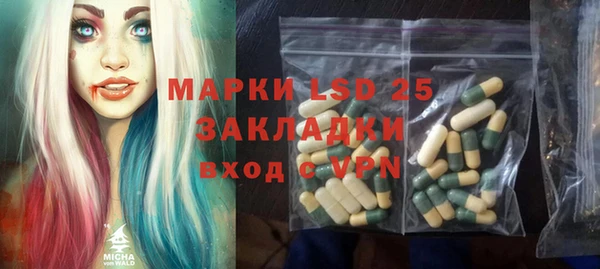 дживик Магас