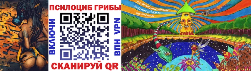 Псилоцибиновые грибы MAGIC MUSHROOMS  Купить закладки  Гремячинск 
